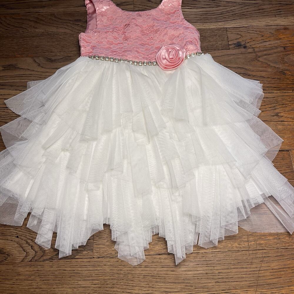 Size 3T Baby Girl Pink White Tulle Dress Jewel Belt Rose Party American Princess - Picture 12 of 16